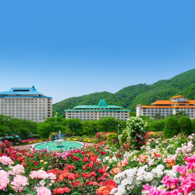 ふるさと納税 花巻市 花巻温泉のバラ園にいる気分を味わえるルームスプレー |  | 03