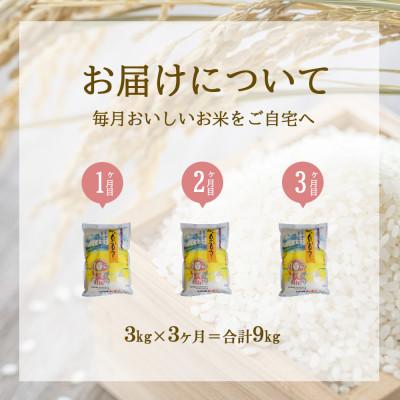 ふるさと納税 えびの市 【毎月定期便】えびの産 ひのひかり 3kg全3回 |  | 01