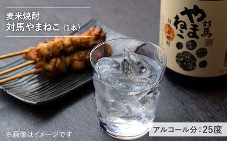 【全3回定期便】本格焼酎 飲み比べ 一升瓶 2本 セット 芋焼酎 / 麦米焼酎酒 お酒 地酒   [WAN030]