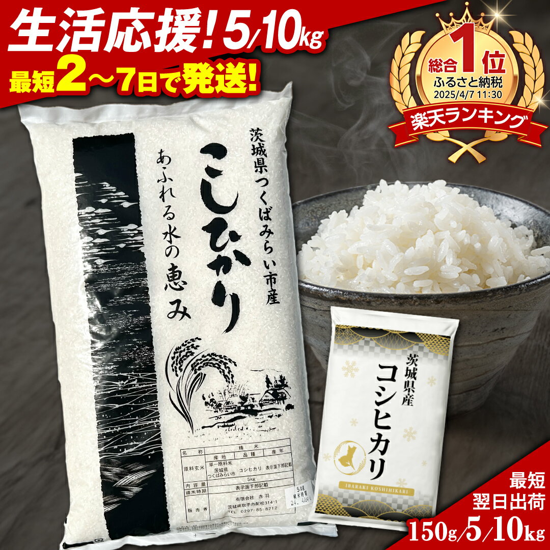 【ふるさと納税】【 生活応援！】 茨城県つくばみらい市産 米 令和6年産 150g 5kg 10kg 品種おまかせ / コシヒカリ ＼ 選べる内容量・出荷時期 ／ 即納 最短翌日出荷 定期便 こしひかり 米 単一米 限定 1000 12000 16000 ポッキリ ぽっきり 国産 お米