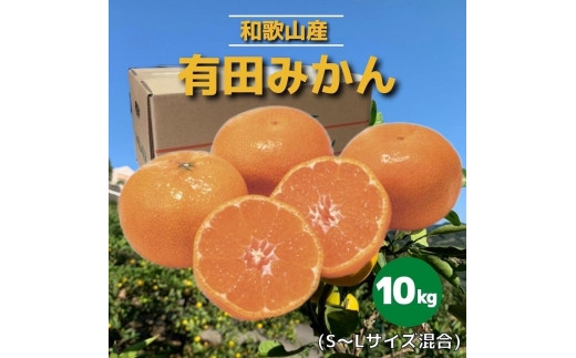 
和歌山県産　有田みかん　10kg　秀品
