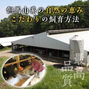 Y119 田村牛 特選ロースすきやき＆ステーキセット