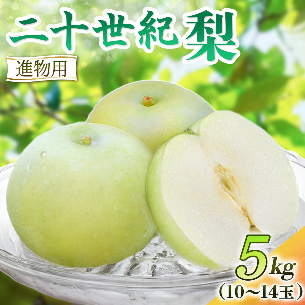 【ふるさと納税】 二十世紀梨【進物】5kg（岸田秀果園） 鳥取 梨 果物 フルーツ 和梨 二十世紀梨 20世紀梨 人気 甘い 進物 贈答用