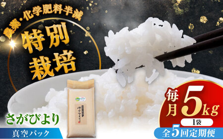 【全5回定期便】令和7年産 ななしま家 さがびより 5kg /  白米 特別栽培 /佐賀県 / 有限会社七島農産 [41AHAC005]