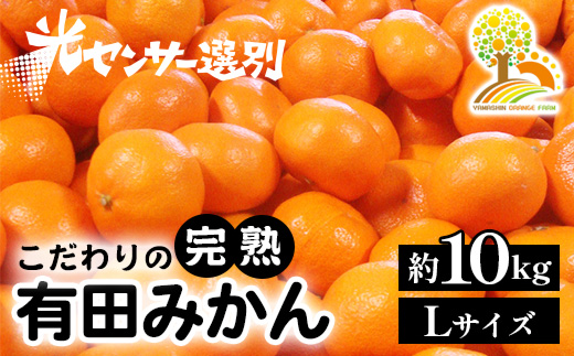 ＼光センサー選別／完熟有田みかんＬサイズ　約10kg 有機質肥料100% ※2024年11月中旬頃～2025年1月上旬頃に順次発送予定 ※着日指定不可 ※沖縄・離島への配送不可