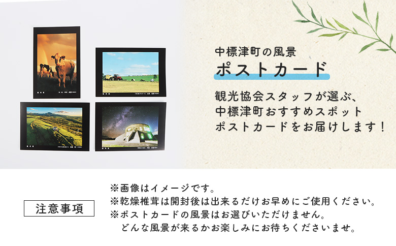 中標津産乾燥椎茸 １０ｇ×２袋 計20g　なかしべつ観光協会バージョン ｜ 椎茸 セット ポストカード 2000 2000円 乾燥椎茸 北海道 ふるさと納税 オンライン申請 ワンストップ マイページ 