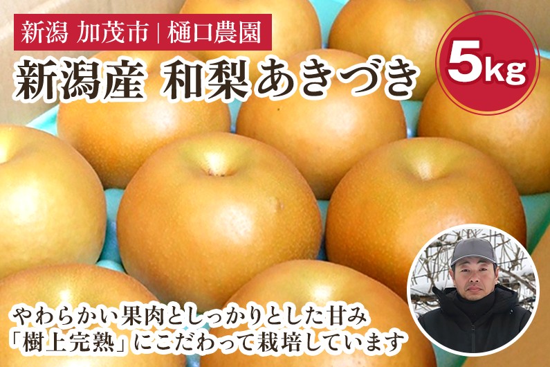 
                  【2026年先行予約】和梨 あきづき 5kg（8～14玉）《9月中旬～順次出荷》果物 なし 梨 フルーツ 新鮮 ジューシー 産地 加茂市 樋口農園
                
