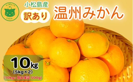【2025年11月順次発送】 訳あり みかん 温州みかん10kg（10kg+傷み保証500g） ミカン 蜜柑 甘い フルーツ 柑橘 ジュース 小松島市 オススメ 人気 ふるさと納税 5kg 10kg
