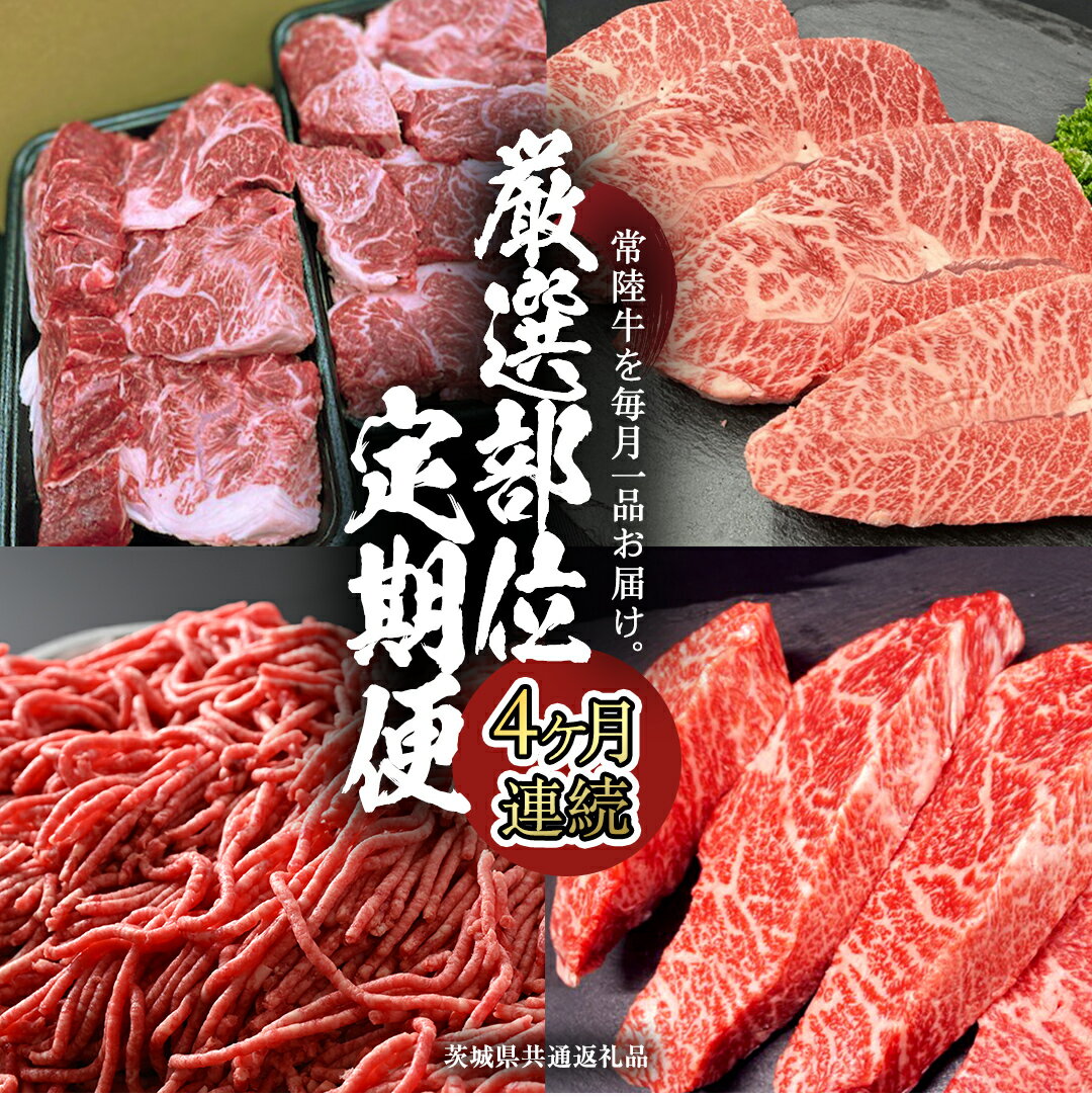 【ふるさと納税】《 常陸牛 》 4ヶ月連続定期便！厳選部位を毎月1品お届け (茨城県共通返礼品) 希少部位 国産黒毛和牛 黒毛和牛 国産 国産牛 和牛 牛肉 お肉 お肉 肉 牛 専門店 ひたち牛 ブランド牛 A4 A5 ランク イチボ ミスジ ステーキ すね肉 挽肉 ブランド 藤井商店