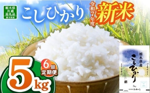 【栃木県共通返礼品】【令和7年度新米】栃木県産コシヒカリ 30kg |定期便 選べる ふるさと 納税 コシヒカリ お米 精米 白米 玄米 大粒 共通返礼品 送料無料 那珂川町 栃木県