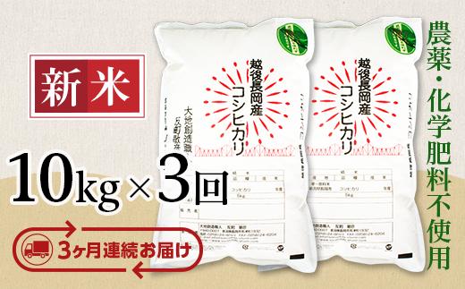 E1-S103B【3ヶ月連続お届け】新潟県産米コシヒカリ10kg