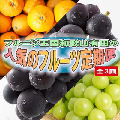 ふるさと納税 有田川町 【発送月固定定期便】和歌山有田産人気フルーツ定期便【不知火・たねなし巨峰・シャインマスカット】全3回