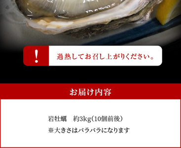 S002-019A_岩牡蠣　約3ｋg　約3人前