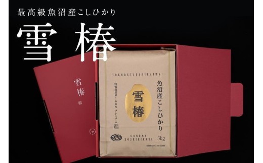 【化粧箱入り】【令和7年産】魚沼産コシヒカリ「雪椿」5kg (5kg×1袋) 特別栽培米 | 米 お米 新潟 魚沼 魚沼産こしひかり コメ おこめ 白米 精米 最高級 ギフト 新潟県 津南町 越後雪椿産業株式会社