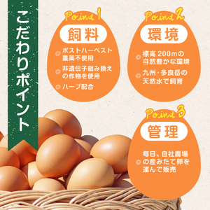 【6ヶ月定期便】たまご家のハーブ卵（笑顔）30個 たまご定期便 卵 たまご 玉子 たまご家定期便 ハーブ卵定期便 新鮮卵 定期便 たまご家の卵 エッグス 佐賀県 太良町 RA1