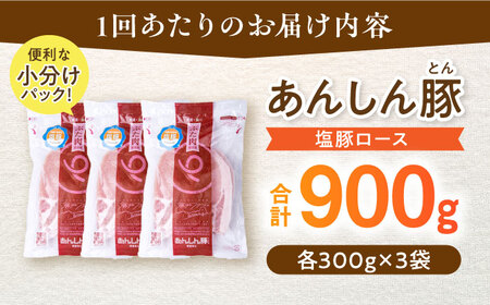 【6回定期便】《金賞受賞》 塩豚ロース 900g 豚肉 白川町 / 藤井ファーム[AWAF055]