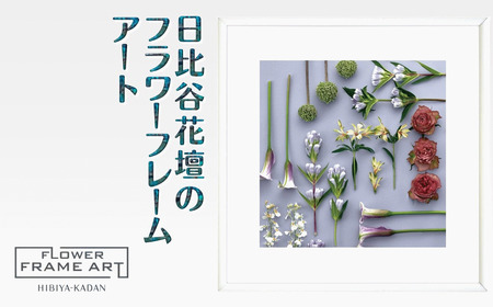 日比谷花壇のフラワーフレームアート Linear Flora Array（直線的な花の配列） ソフケン アルミフレーム 25x25cm アートポスター ポスターフレーム 花ポスター インテリア おしゃれ 花 植物 贈り物 プレゼント ギフト 軽量フレーム ボタニカルアート フラワーアート 癒しの空間