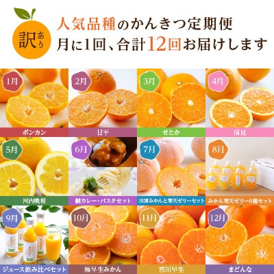 【発送月固定定期便】愛媛の人気品種を厳選!みかん定期便(訳あり)【H25−171】全12回【配送不可地域：離島】【4056289】