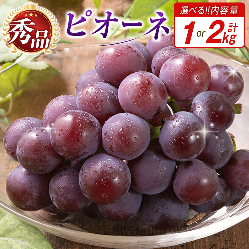 【ふるさと納税】【令和8年発送 先行予約】【選べる内容量】小林市産 ピオーネ 1～2kg（ぶどう ブドウ ピオーネ フルーツ 果物 くだもの 先行受付 限定）