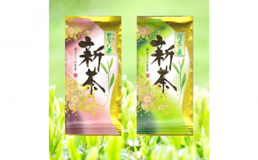 ＜大高茶園＞令和7年の新茶 お茶処静岡 特選やぶきた新茶と深蒸し新茶 飲み比べセット