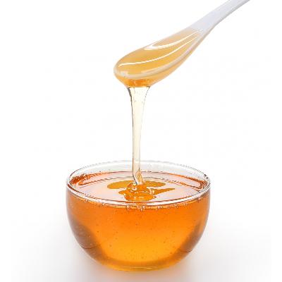 ふるさと納税 唐津市 日本ミツバチの純粋はちみつ 480g |  | 01