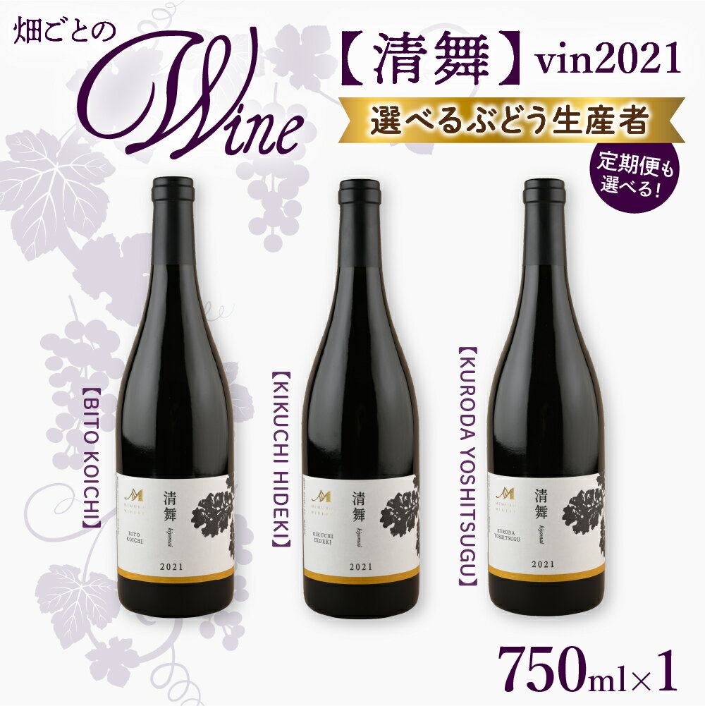 【ふるさと納税】【選べる単品/定期便】 ワイン 清舞 vin2021 750ml / 赤ワイン わいん 果実酒 酒 セット 贈り物 ギフト お祝い 記念日 お歳暮 国産 瓶 お取り寄せ 北海道 十勝 芽室町