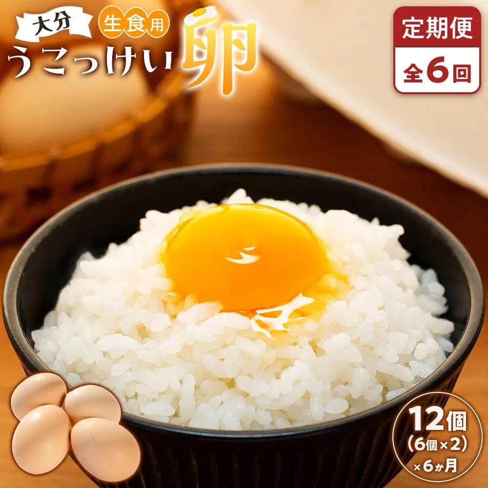 【定期便 全6回】大分うこっけい卵　生食用12個（6個×2パック）＜一人暮らしの方におすすめ♪＞