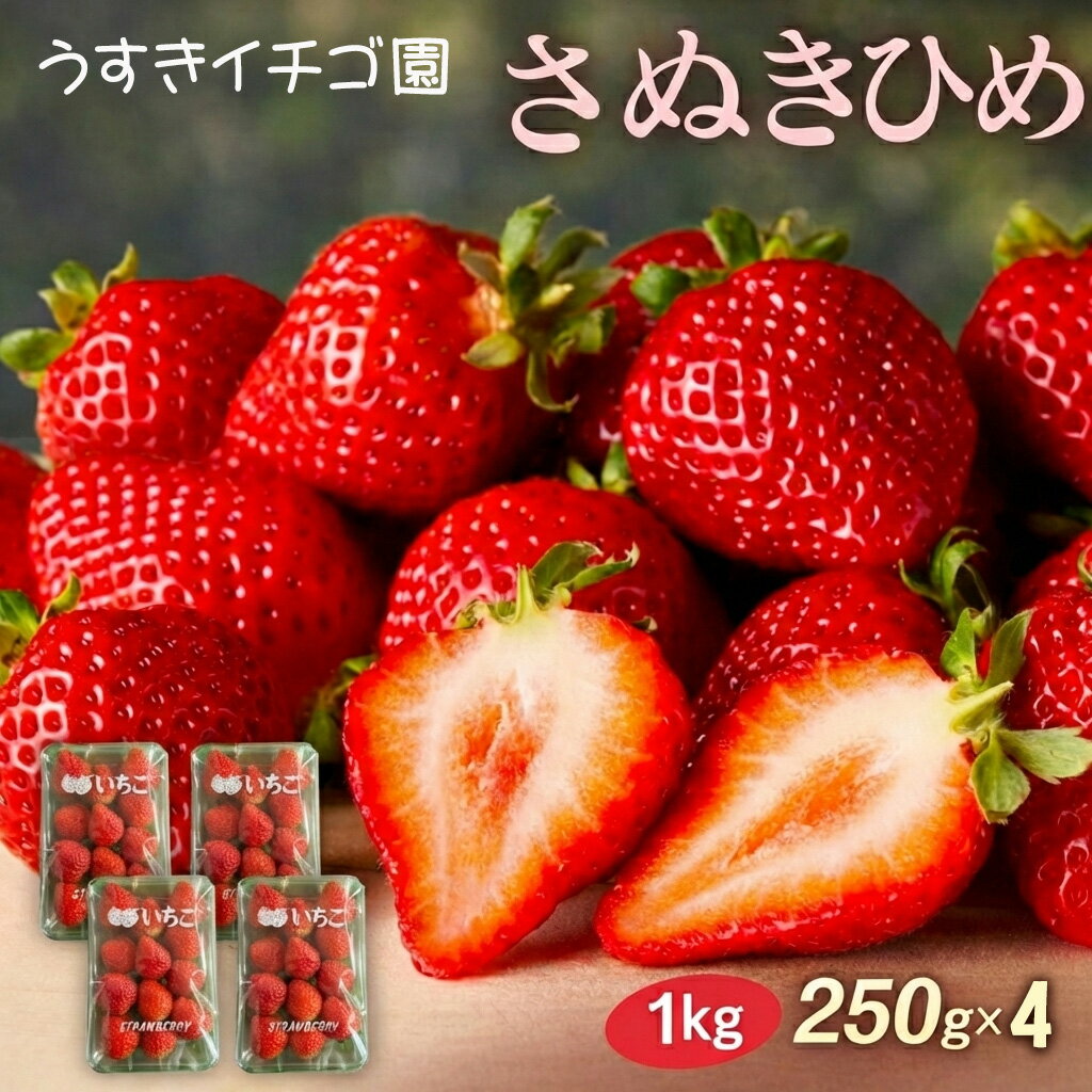 【ふるさと納税】いちご 苺 さぬきひめ 約1kg (250g×4) [ フルーツ 果物 苺 期間限定 数量限定 甘い 果汁 国産 産地 直送 お取り寄せ グルメ ギフト 人気 ランキング 香川県 三豊市 甘い 大粒 小分け 10,000円 台 返礼品 送料無料 うすきイチゴ園 ]