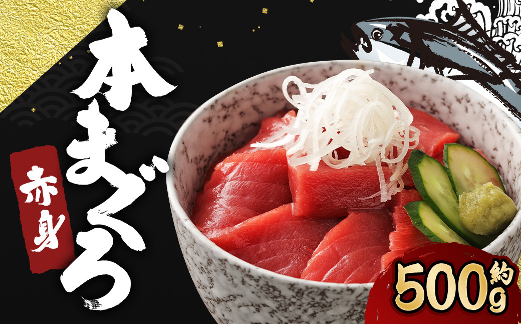 
            長崎県産 本マグロ「赤身」約500g【大村湾漁業協同組合】
          