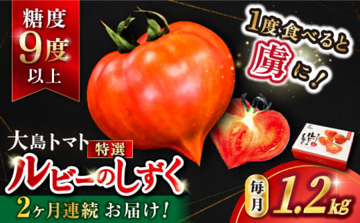 【2027年3月より発送開始予定】【2回定期便】大島トマト ルビーのしずく 約1.2kg＜大島造船所農産G＞ [CCK030] 長崎 西海 トマト とまと 大島トマト 高糖度 贈答 野菜 甘い 人気 トマト 高評価 定期便 新鮮