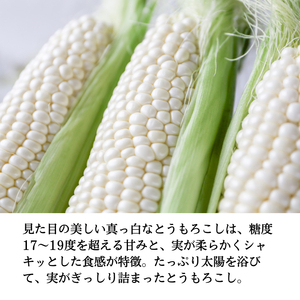 とうもろこし うしまどんな 約4kg 8～12本入り とうもろこし 岡山県産