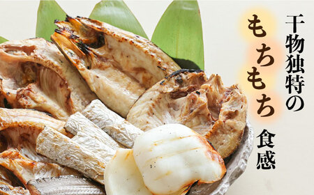 【職人の技】旬の干物 詰め合わせ 3～4種（6～8パック） / 魚 干物 干もの セット  / 南島原市 / ながいけ[SCH048]