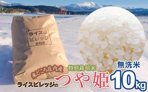 【令和7年産】米どころ庄内産 ライスビレッジの特別栽培米 つや姫 無洗米　10kg　K-790