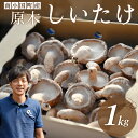 【ふるさと納税】 南小国産 原木しいたけ 1kg 極上 きのこ キノコ 椎茸 しいたけ シイタケ 生 野菜 極上 高級 ギフト 贈答用 熊本 阿蘇 南小国町 送料無料