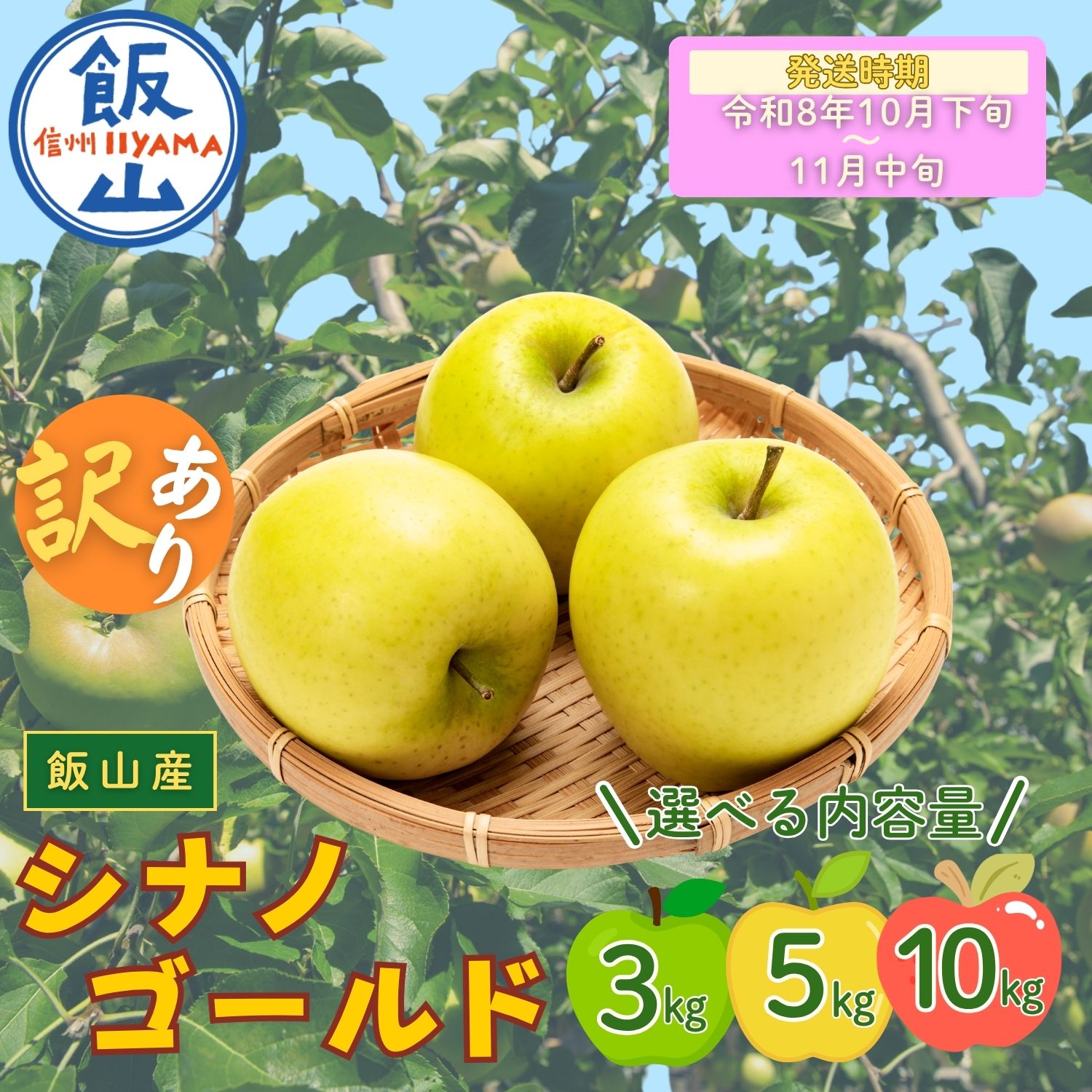 【ふるさと納税】2026年 先行予約 ＼ 訳あり シナノゴールド／ 選べる3kg / 5kg / 10kg ＜出荷開始：2026年10月下旬頃〜11月中旬頃＞【 りんご リンゴ 林檎 ゴールド フルーツ 果物 信州 規格外 B品 産地直送 新鮮 オススメ 美味しい 長野県 飯山市 】（At-023-024-025)
