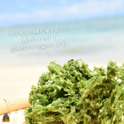 ふるさと納税 徳之島町 【2026年とれたて!】煌きの海からの恵み!島あおさ(1袋)【ポストイン配送】 |  | 01