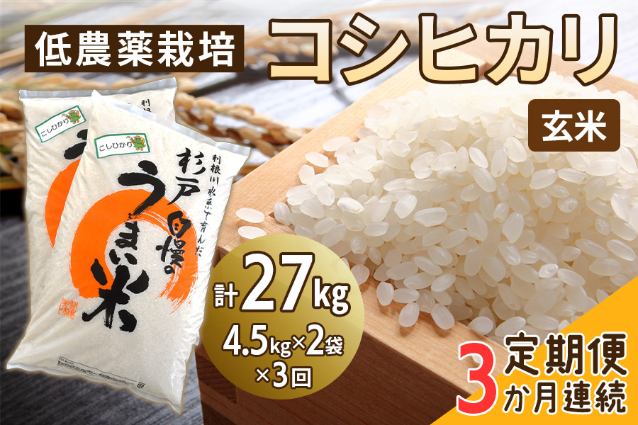 [定期便／3ヶ月] 低農薬栽培のコシヒカリ《玄米》計27kg (4.5kg×2袋×3ヶ月連続)｜おいしい お米 コメ こめ ご飯 ごはん お取り寄せ 直送 贈り物 贈答品 ふるさと納税 埼玉 杉戸 [0650]