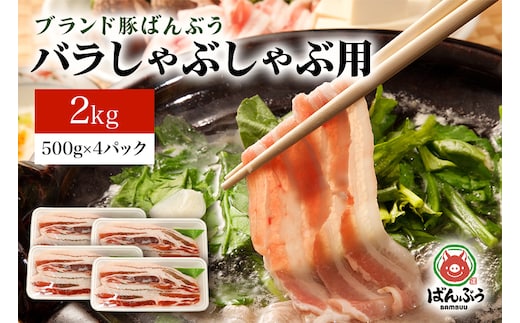 
										
										ブランド豚「ばんぶぅ」バラしゃぶしゃぶ用 2.0kg(500g×4パック)
									