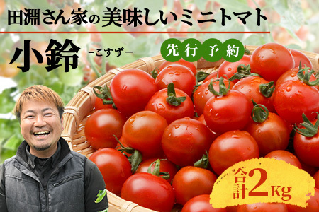 【先行予約】田淵さんちの美味しいミニトマト 小鈴2kg（1.0kg×2箱）| 野菜 トマト ミニトマト 産地直送 ミニトマト 新鮮 トマト 南大隅町産 ミニトマト おいしい  ミニトマト(BV709)