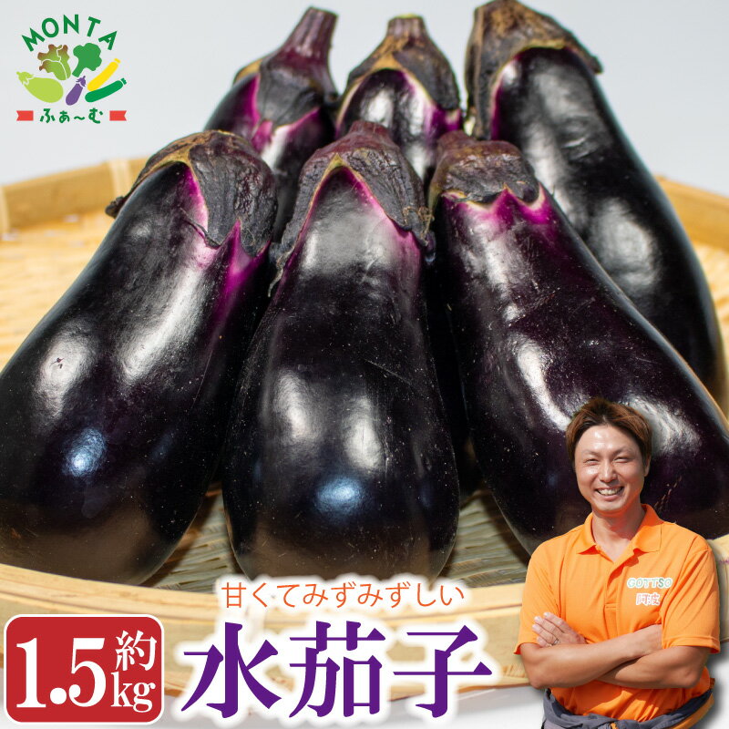 【ふるさと納税】 野菜 なすび 水茄子 約 1.5kg 朝どれ 産地直送 夏野菜 漬物 浅漬 徳島県 阿波市