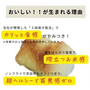 カリッとミニおかき 10個セット ※お米っておいしい!を実感できる【1689313】