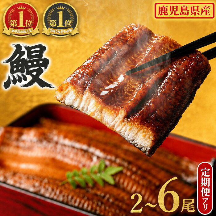東串良町のうなぎ蒲焼(無頭) 2尾(320g以上・タレ、山椒付)