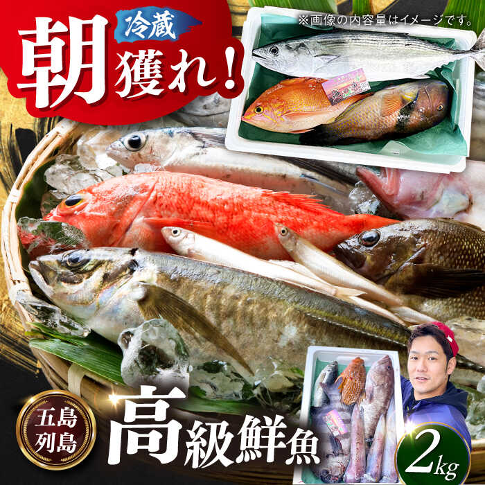 【ふるさと納税】【五島列島直送】朝獲れ高級鮮魚セット2kg 五島市 / 鯛福丸水産[PDP002] 魚 鮮魚 セット 海鮮 直送 さかな 詰合せ 冷蔵