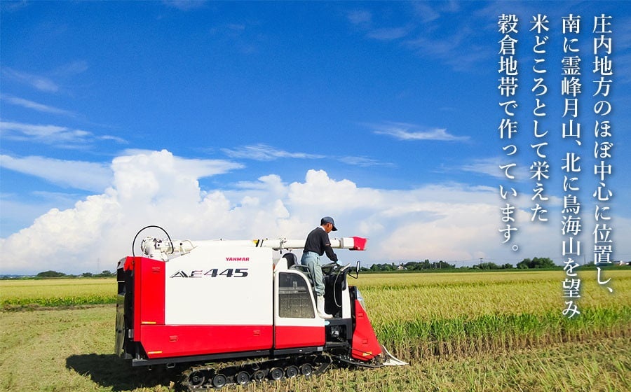 【令和7年産】特別栽培米 はえぬき（タニシ米）精米10kg（5kg×2袋）　山形県鶴岡産　アベ・アグリ米