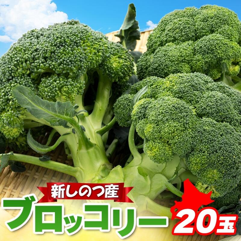 【ふるさと納税】北海道 新しのつ産 ブロッコリー 20玉 グリーン野菜 旬 野菜 甘い お取り寄せ 国産 農作物 JA新しのつ 送料無料 新篠津村　お届け：2025年7月1日から2025年10月31日まで