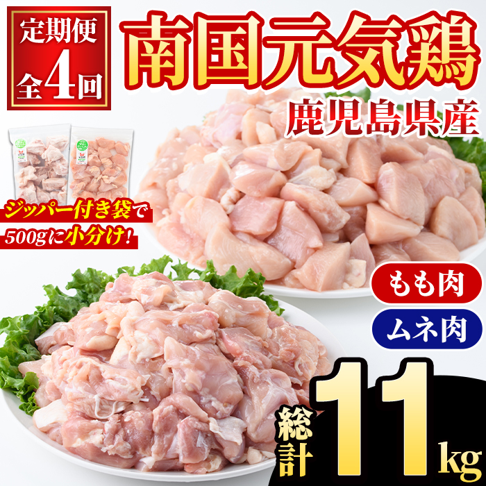 ＜定期便・全4回(隔月)＞鹿児島県産！南国元気鶏 もも肉・ムネ肉定期便(総計11kg) 国産 九州産 鹿児島産 モモ肉 鶏モモ むね肉 胸肉 鶏ムネ 小分け 定期便 おかず おつまみ 【さるがく水産】akn028-42