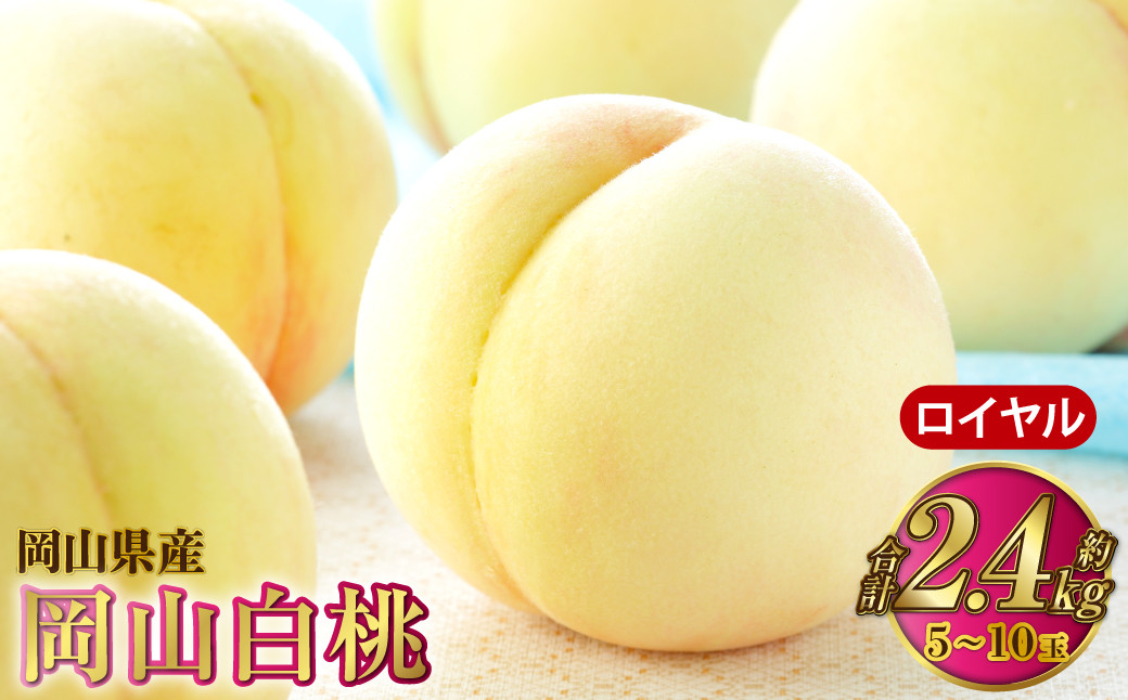 
            岡山白桃 ロイヤル 5～10玉 約2.4kg 岡山県産【2026年7月上旬～8月下旬発送予定】 白桃 桃 もも モモ
          
