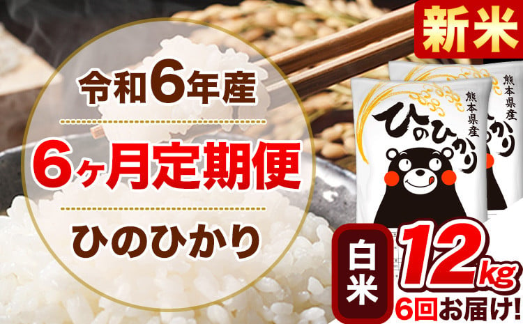 
            令和6年産新米 【6ヵ月定期便】 白米 ひのひかり 定期便 12kg 6kg×2袋《お申込み翌月から出荷開始》 熊本県産 精米 ひの 米 こめ ヒノヒカリ コメ お米
          