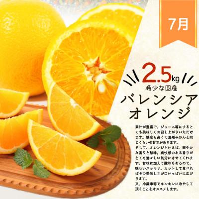 ふるさと納税 日高町 【発送月固定定期便】紀州和歌山産旬のフルーツセット(バレンシア・桃・ひらたねなし柿)全3回 |  | 01