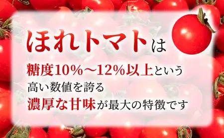 高糖度「ほれトマト」2kg　極上 ミニトマト 糖度10度以上 | トマト とまと ミニトマト フルーツトマト 野菜 やさい 人気 新鮮 産地直送 甘い 高糖度 完熟 ジューシー 食べやすい ※2026